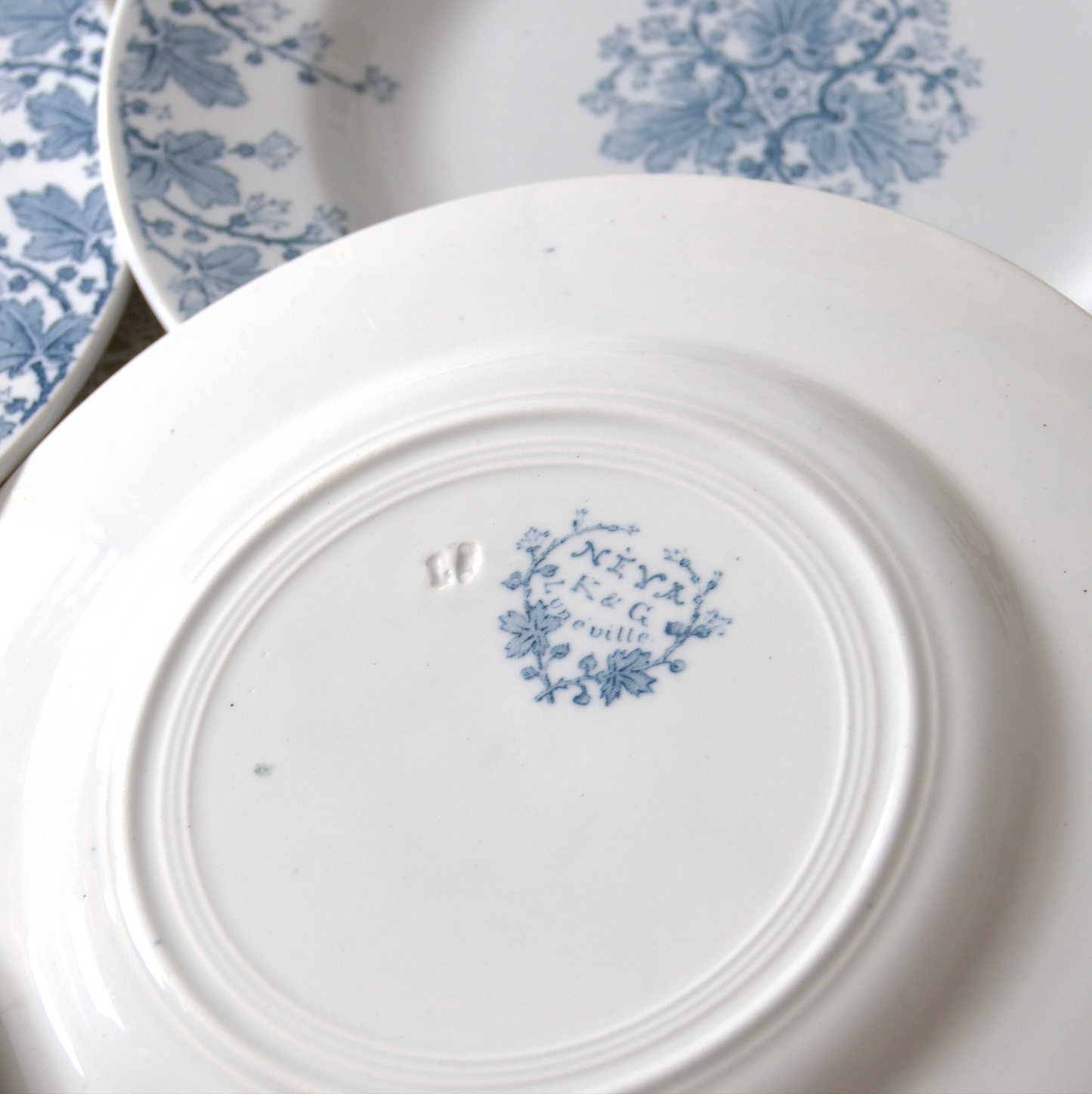 6 assiettes terre de fer KG Lunéville "Neva"
