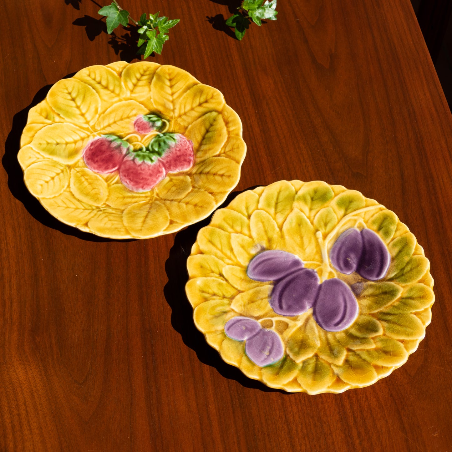 8 assiettes en barbotine de Sarreguemines