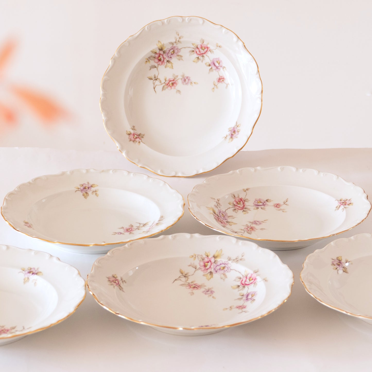 6 assiettes en porcelaine de Bavière fleuries - Schumann Arzberg