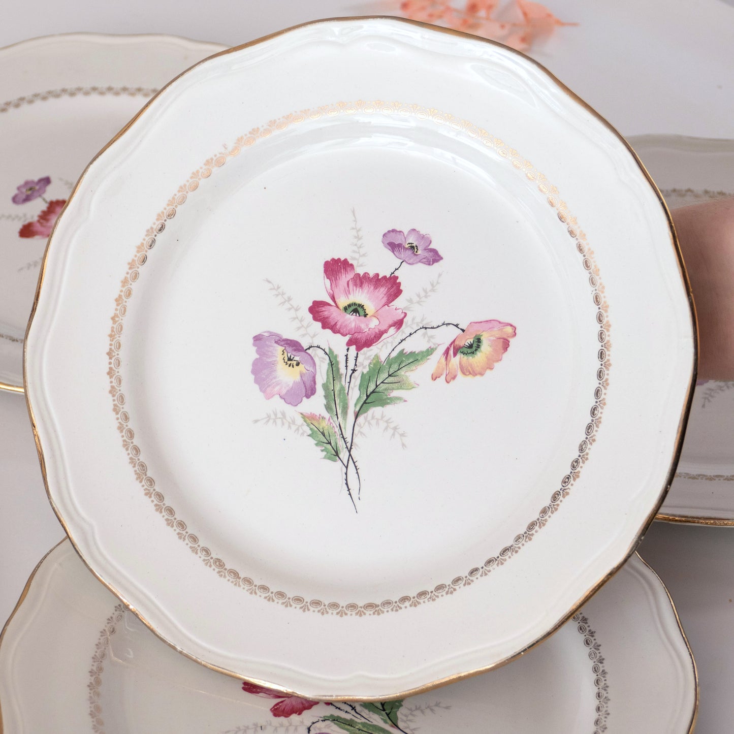 8 assiettes L'Amandinoise "Pavots"