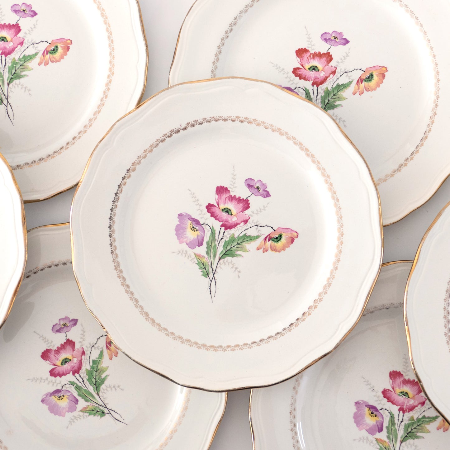 8 assiettes L'Amandinoise "Pavots"