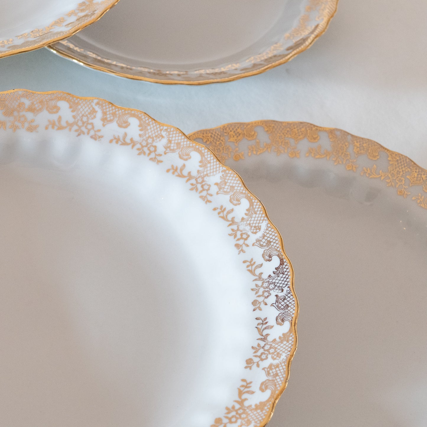 6 assiettes creuses en porcelaine Vitriam