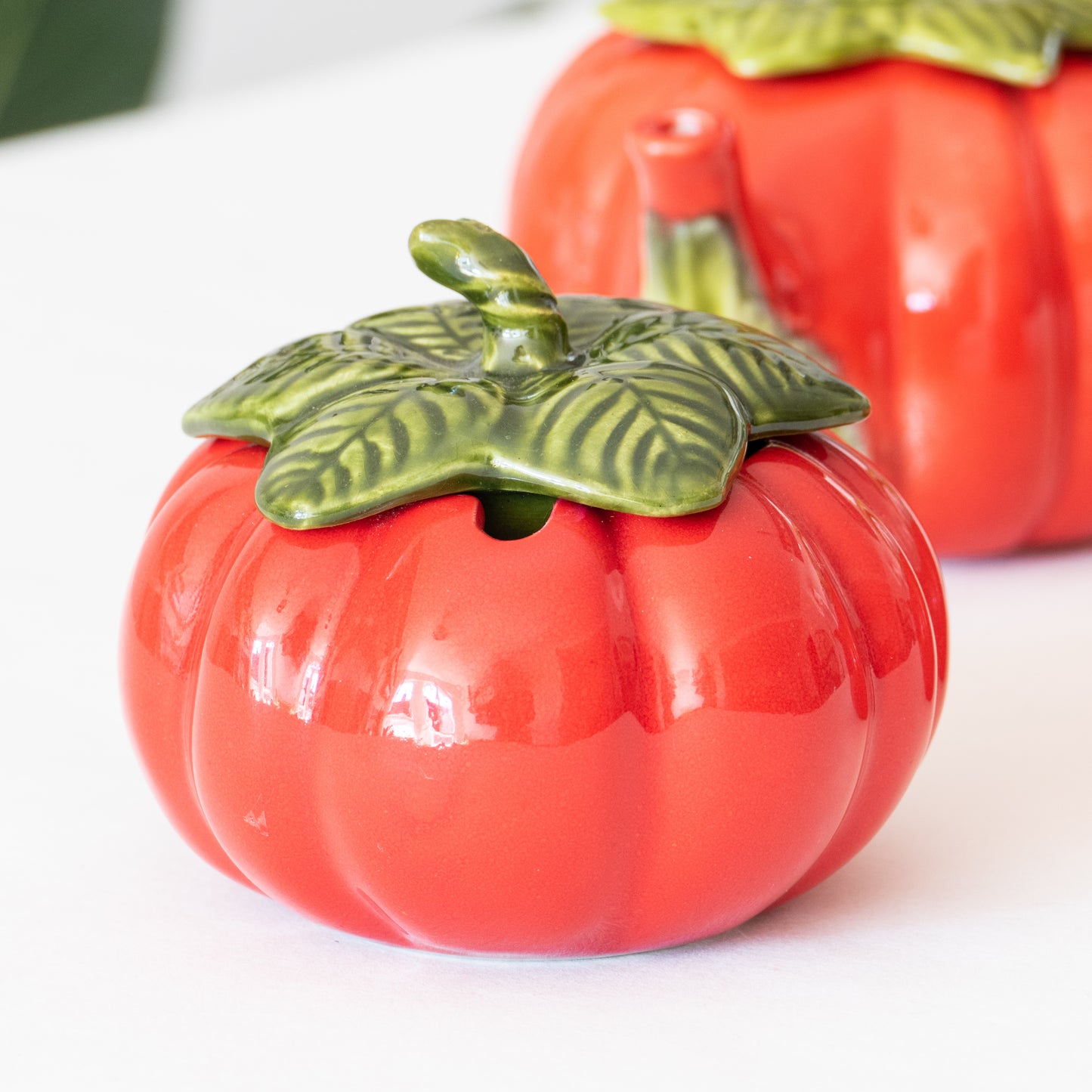 Ensemble de barbotines tomates italiennes