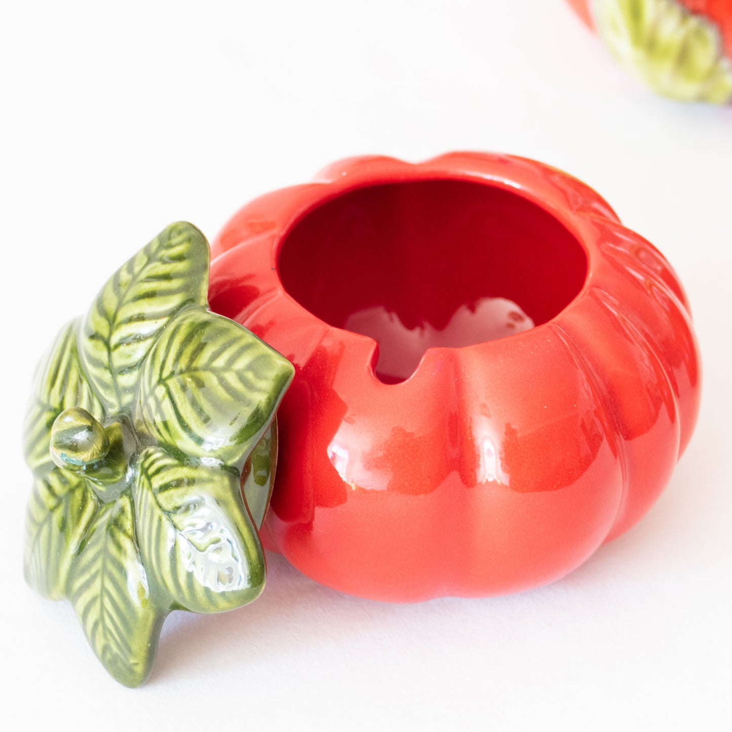 Ensemble de barbotines tomates italiennes