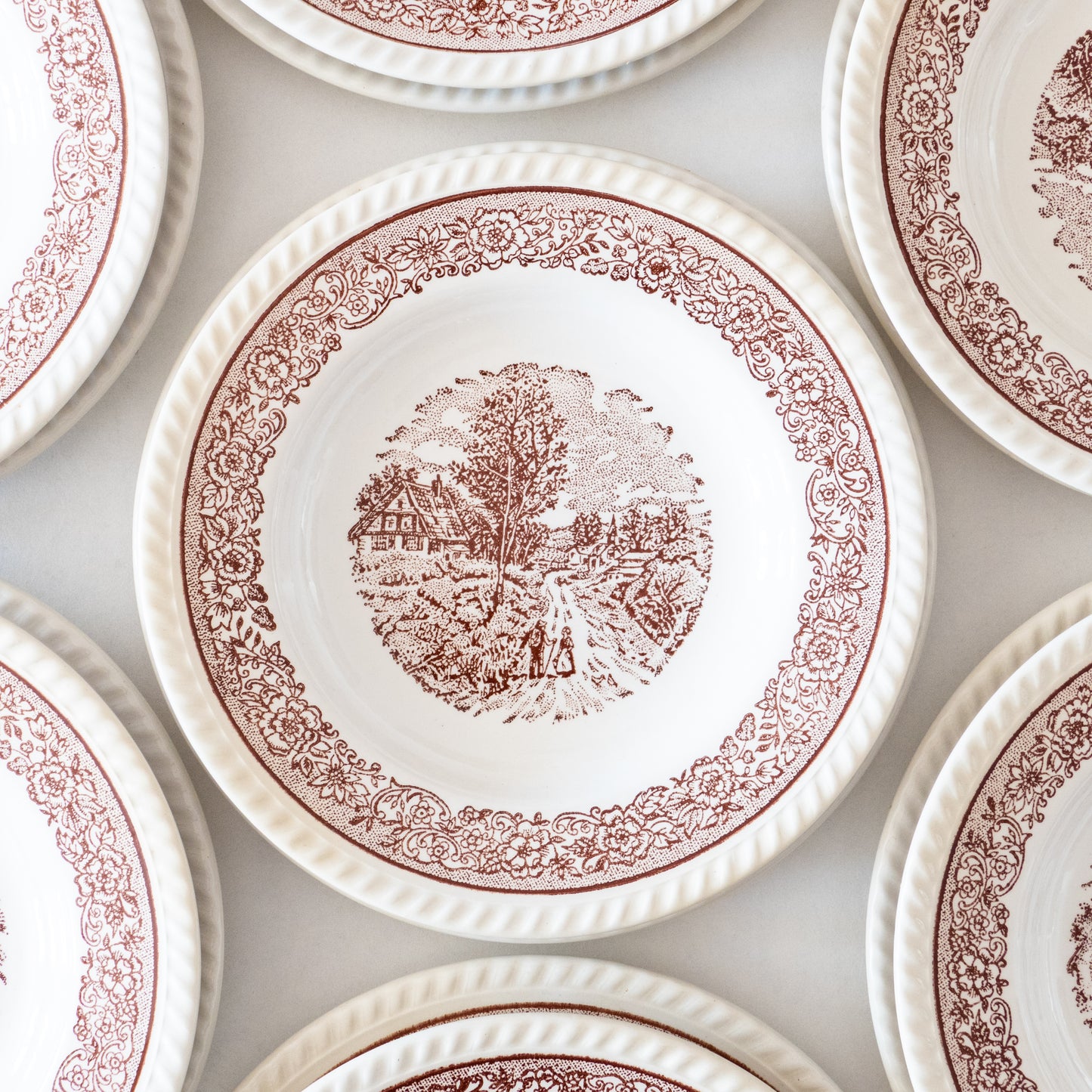 24 assiettes anglaises champêtres