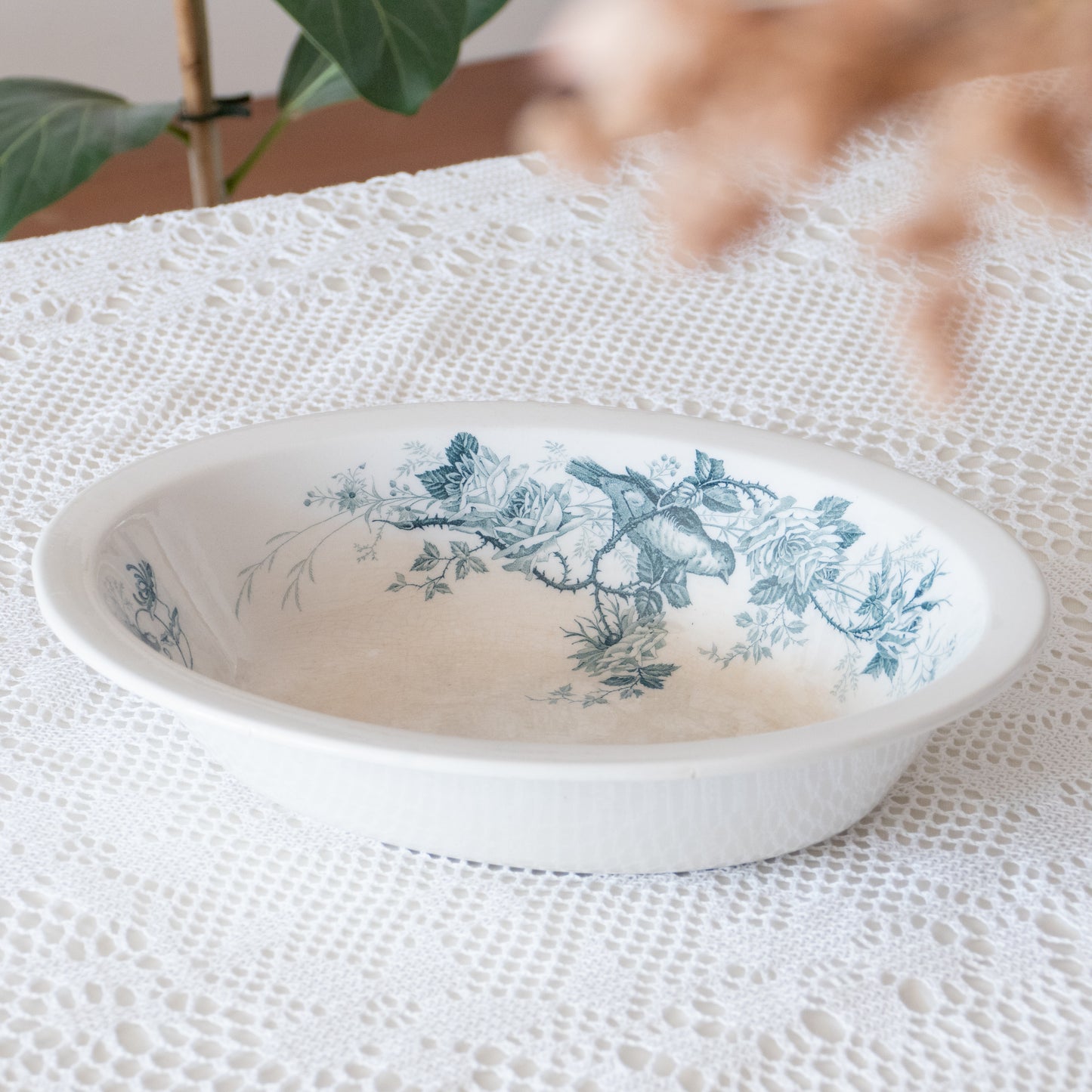Plat creux terre de fer Villeroy & Boch - décor oiseaux