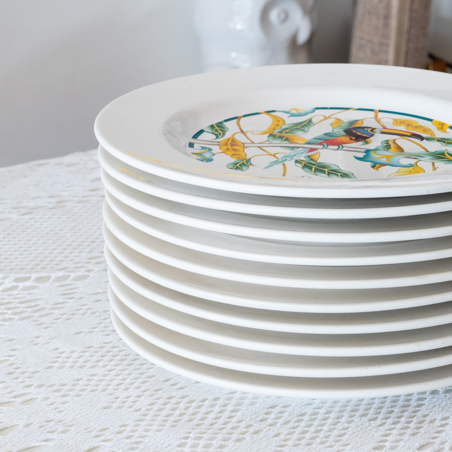 10 grandes assiettes Toucan