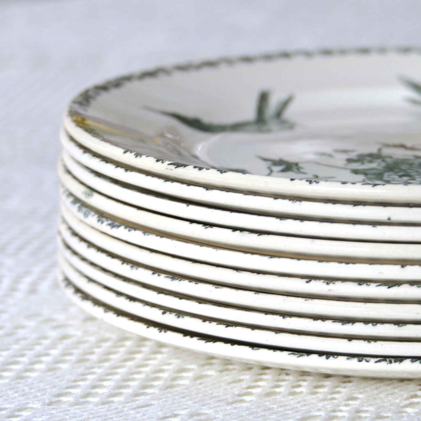 10 assiettes XIXe terre de fer Emile Bourgeois - décor oiseaux