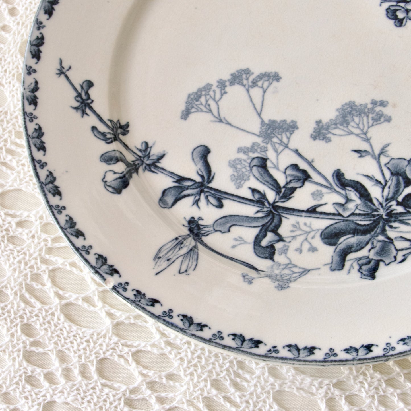 6 assiettes plates Sarreguemines "Carmen" - terre de fer