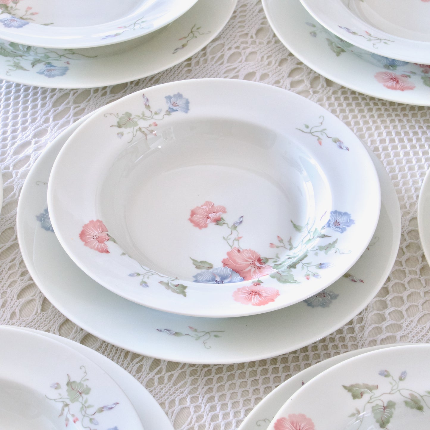 9 assiettes creuses en porcelaine de Limoges Jammet Seignolles