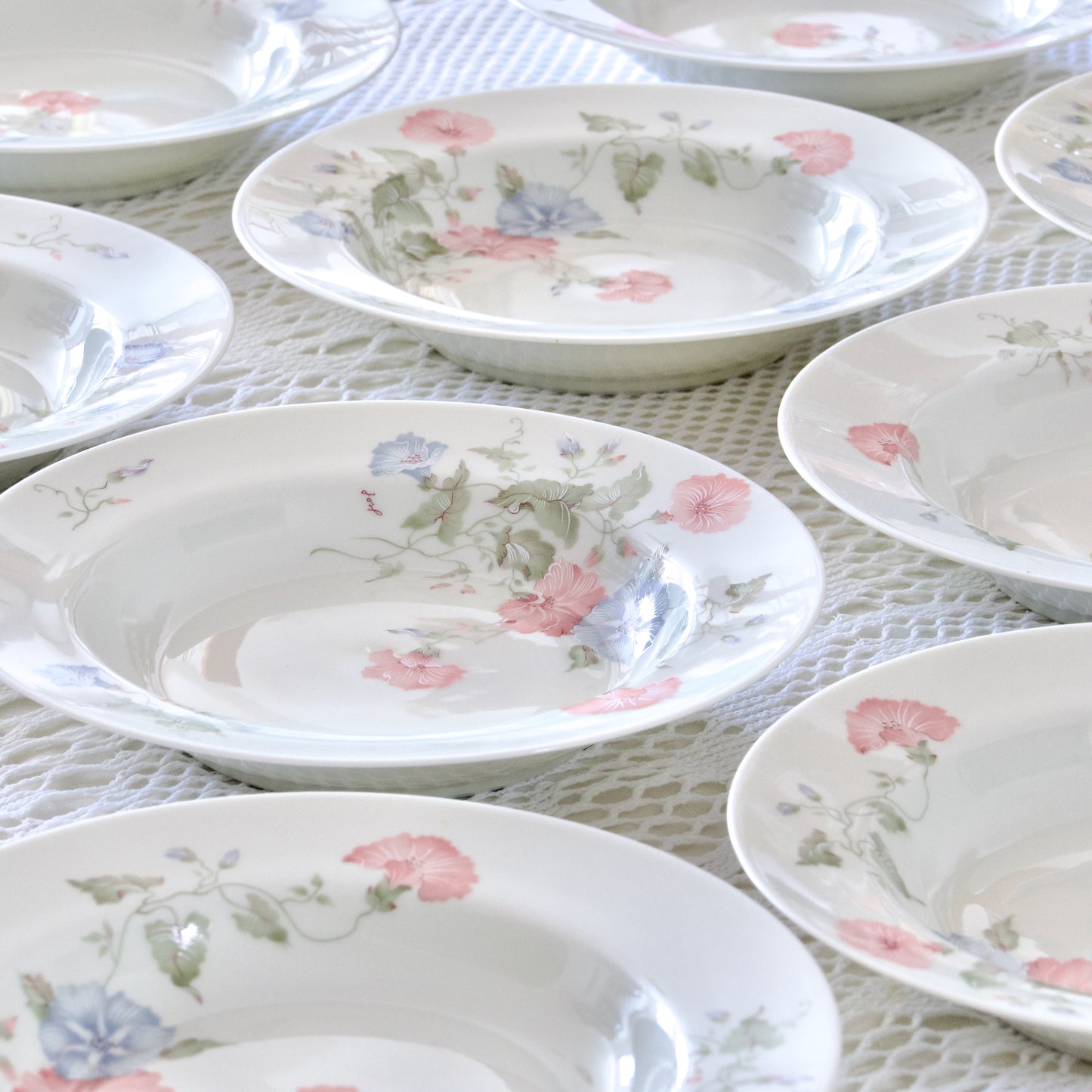 9 assiettes creuses en porcelaine de Limoges Jammet Seignolles