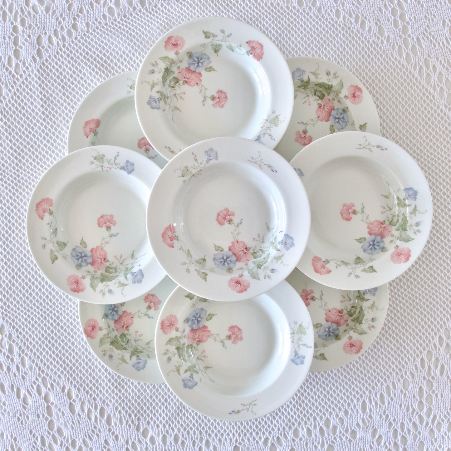 9 assiettes creuses en porcelaine de Limoges Jammet Seignolles