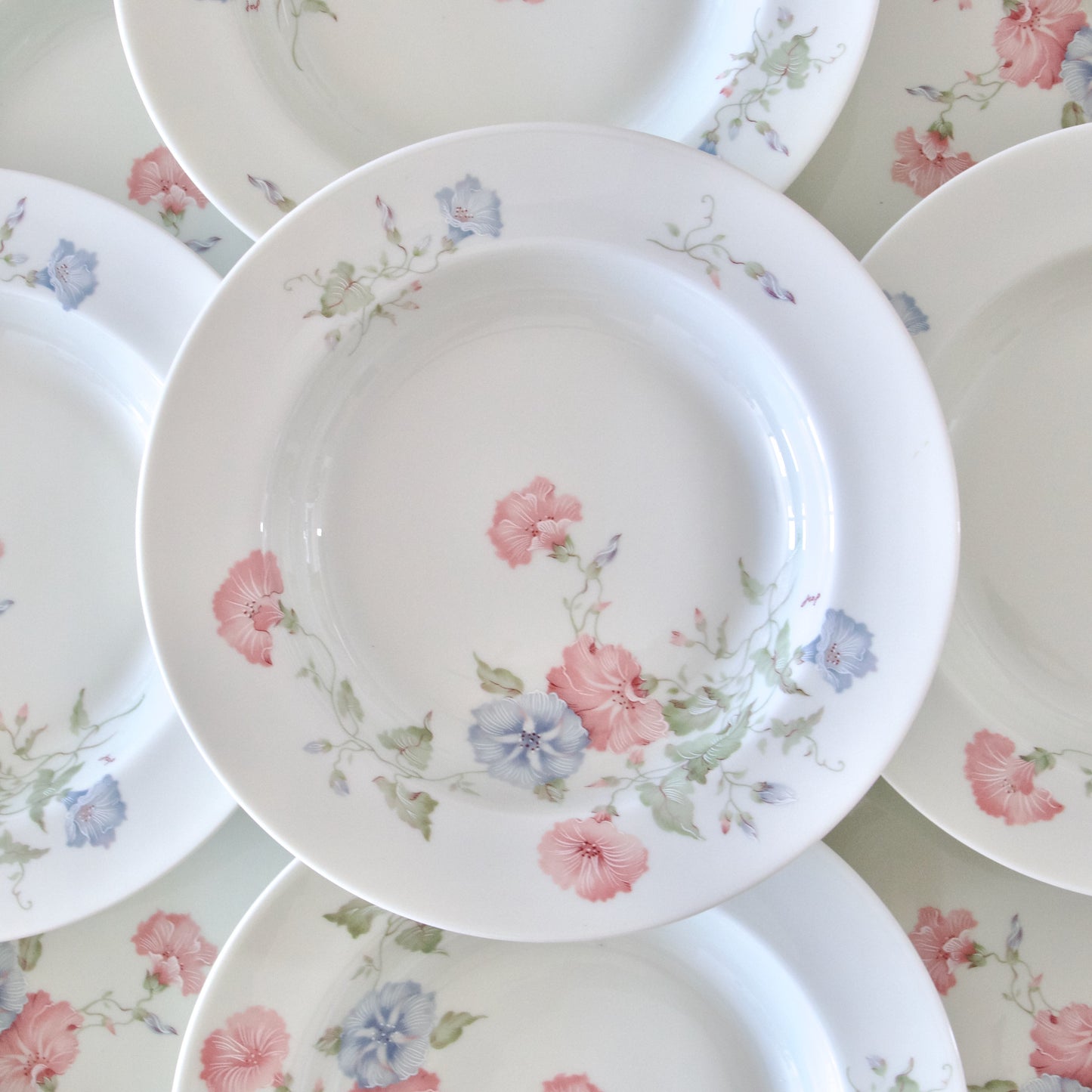 9 assiettes creuses en porcelaine de Limoges Jammet Seignolles