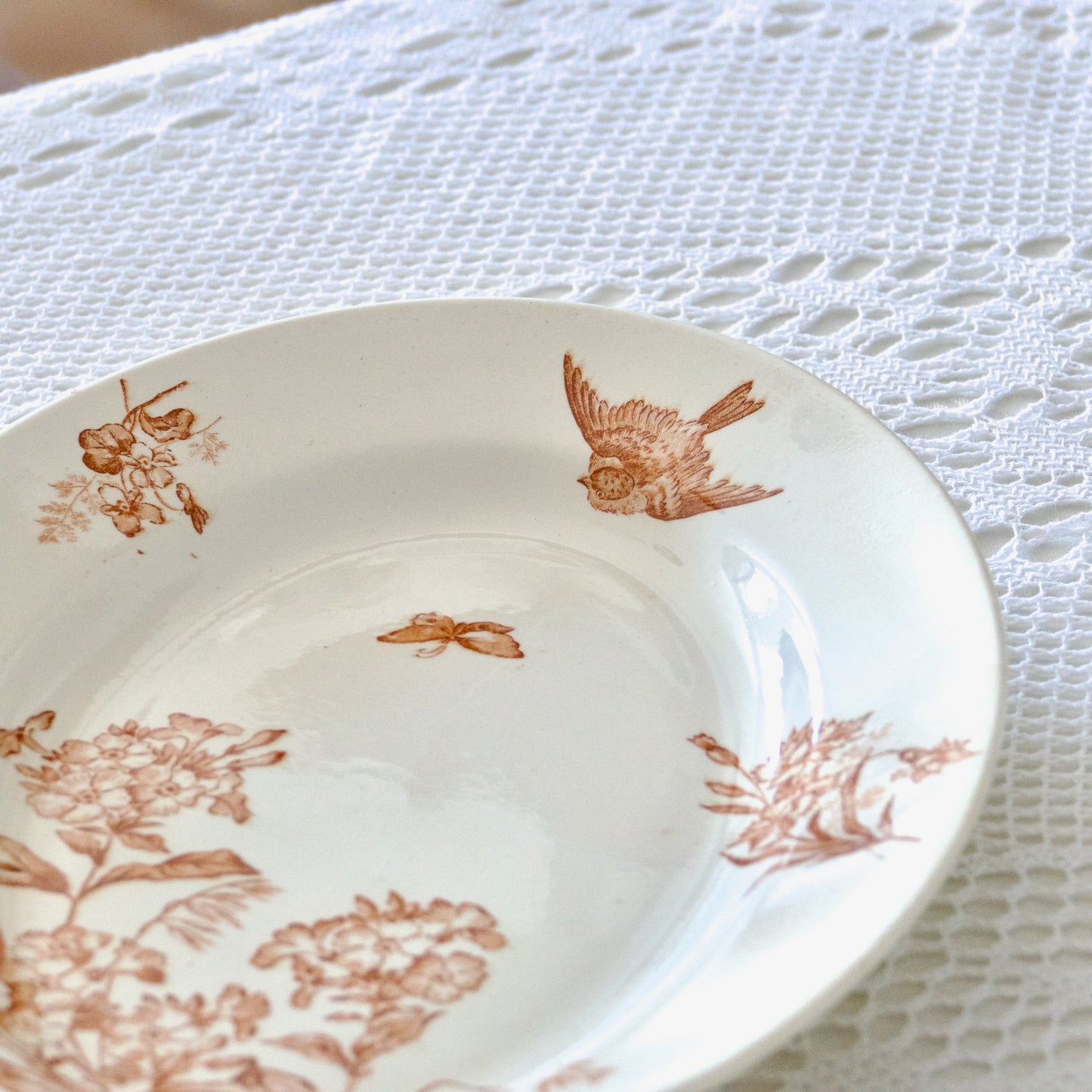 Plat ovale Longwy collection "Botanique" oiseau - terre de fer sepia