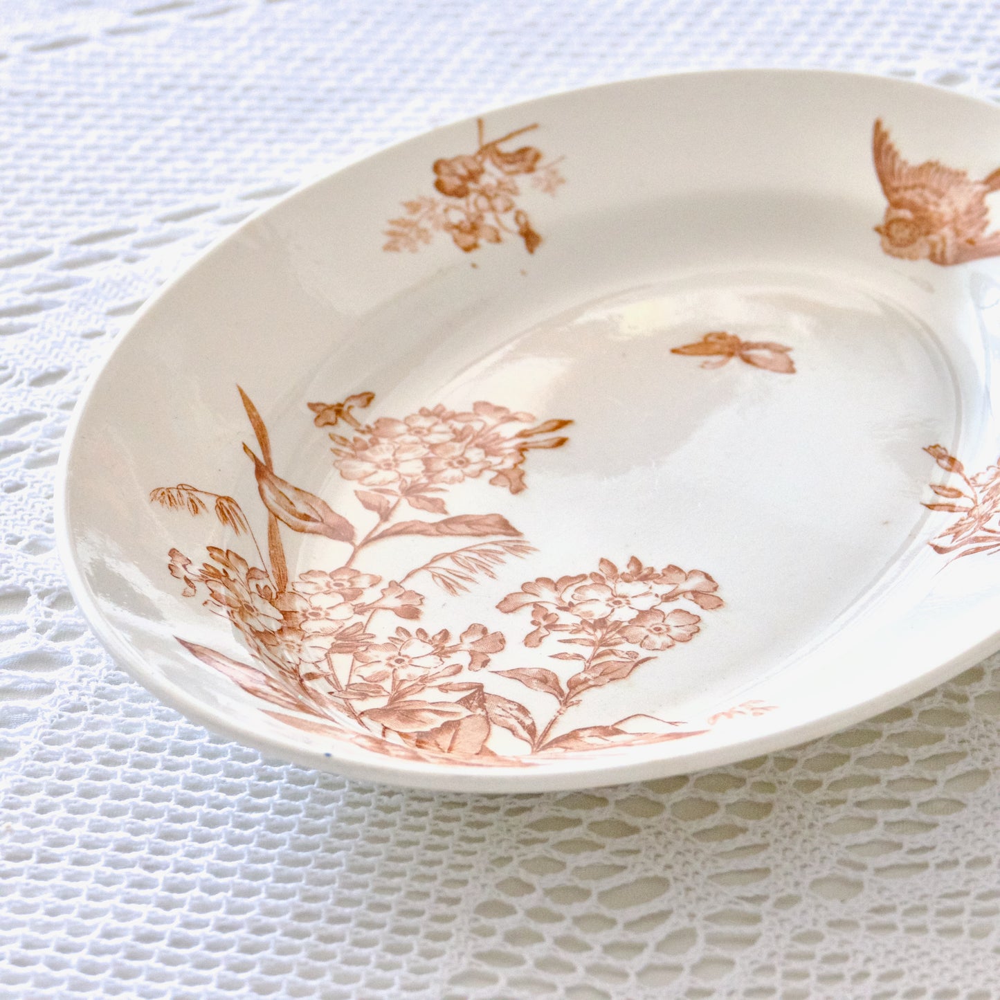Plat ovale Longwy collection "Botanique" oiseau - terre de fer sepia