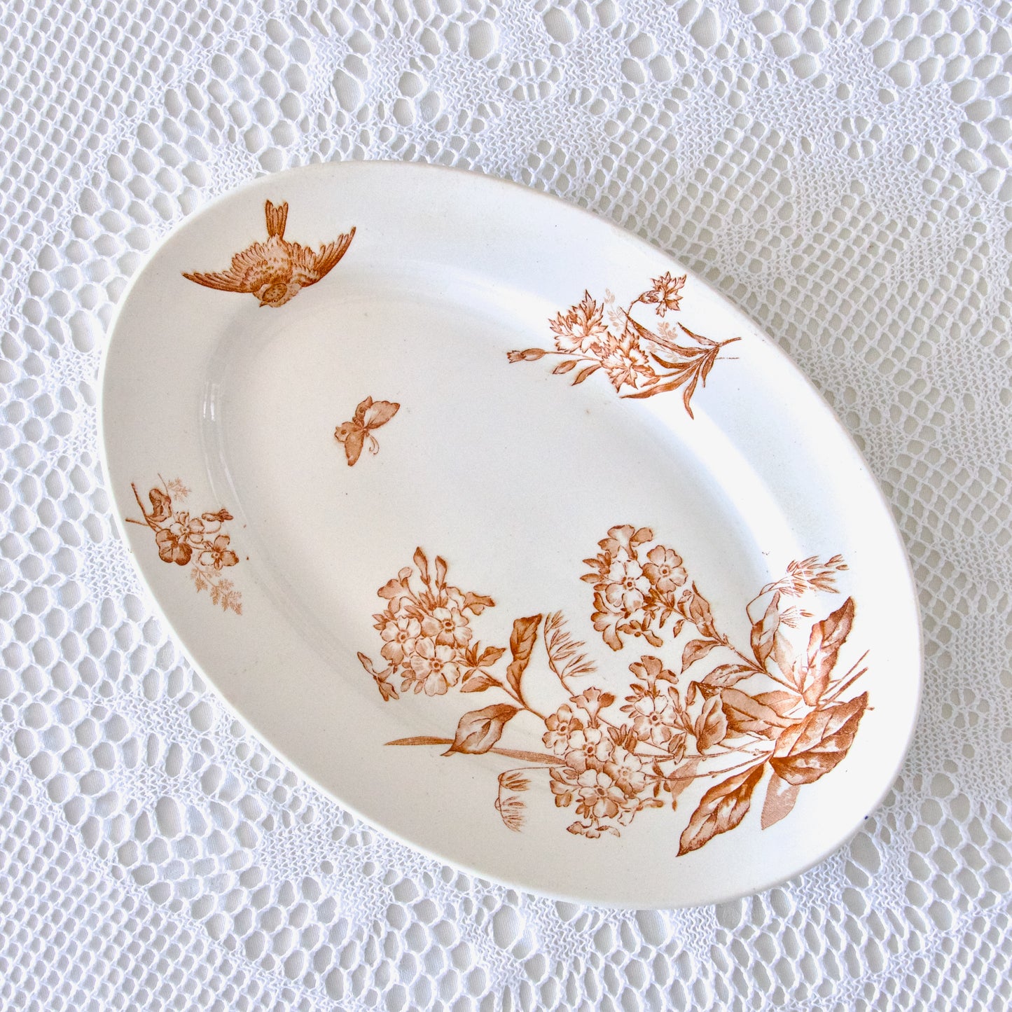 Plat ovale Longwy collection "Botanique" oiseau - terre de fer sepia