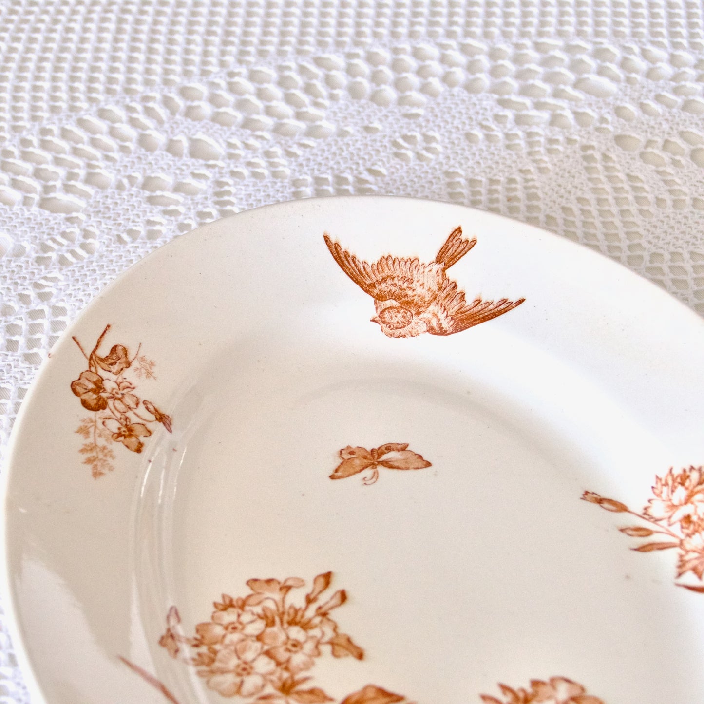 Plat ovale Longwy collection "Botanique" oiseau - terre de fer sepia