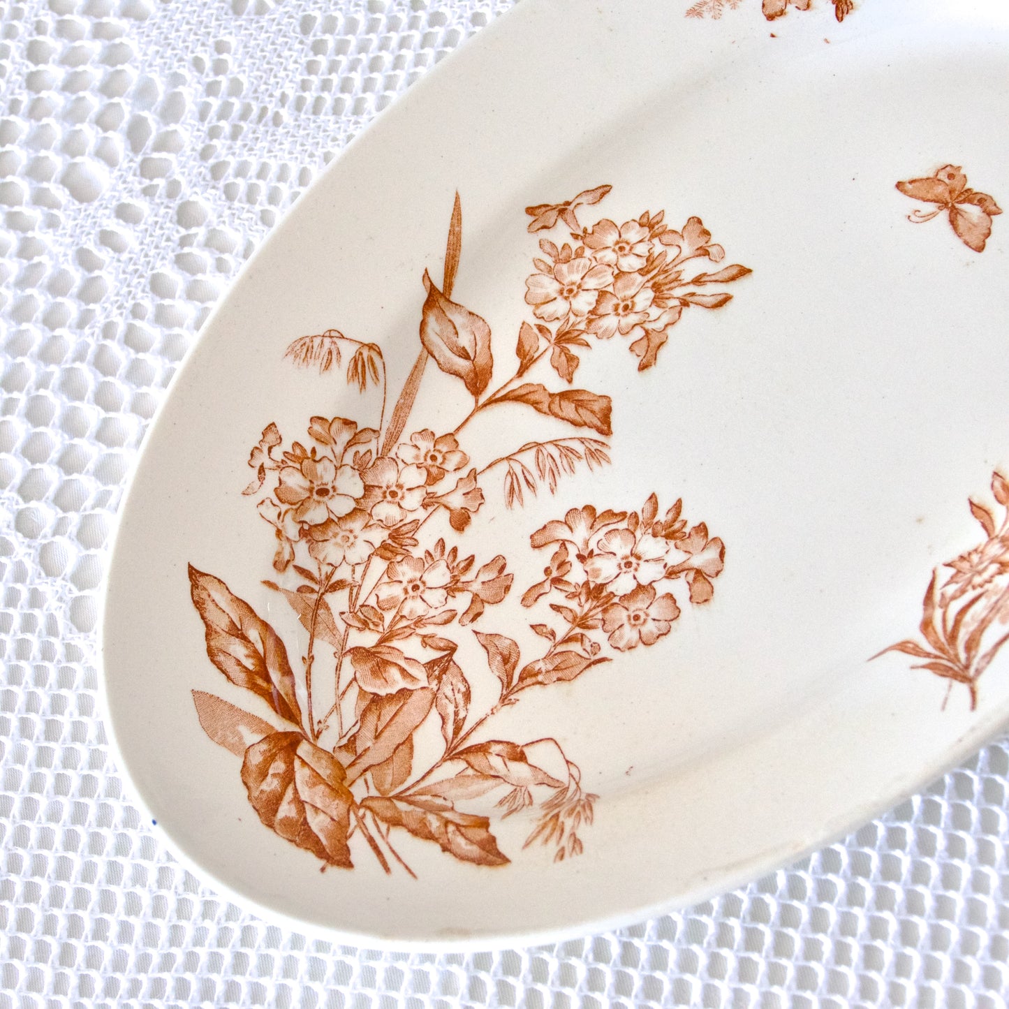 Plat ovale Longwy collection "Botanique" oiseau - terre de fer sepia
