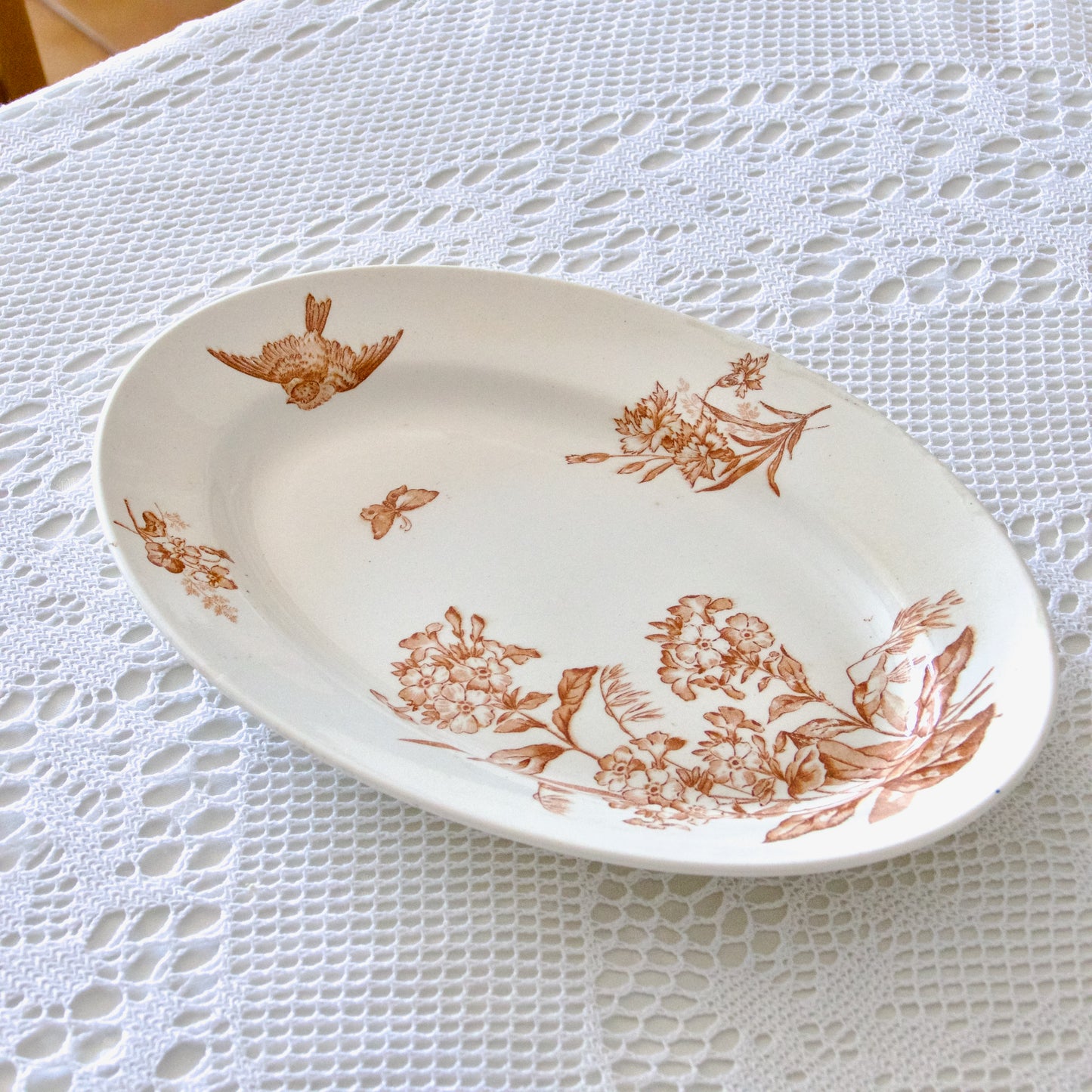 Plat ovale Longwy collection "Botanique" oiseau - terre de fer sepia