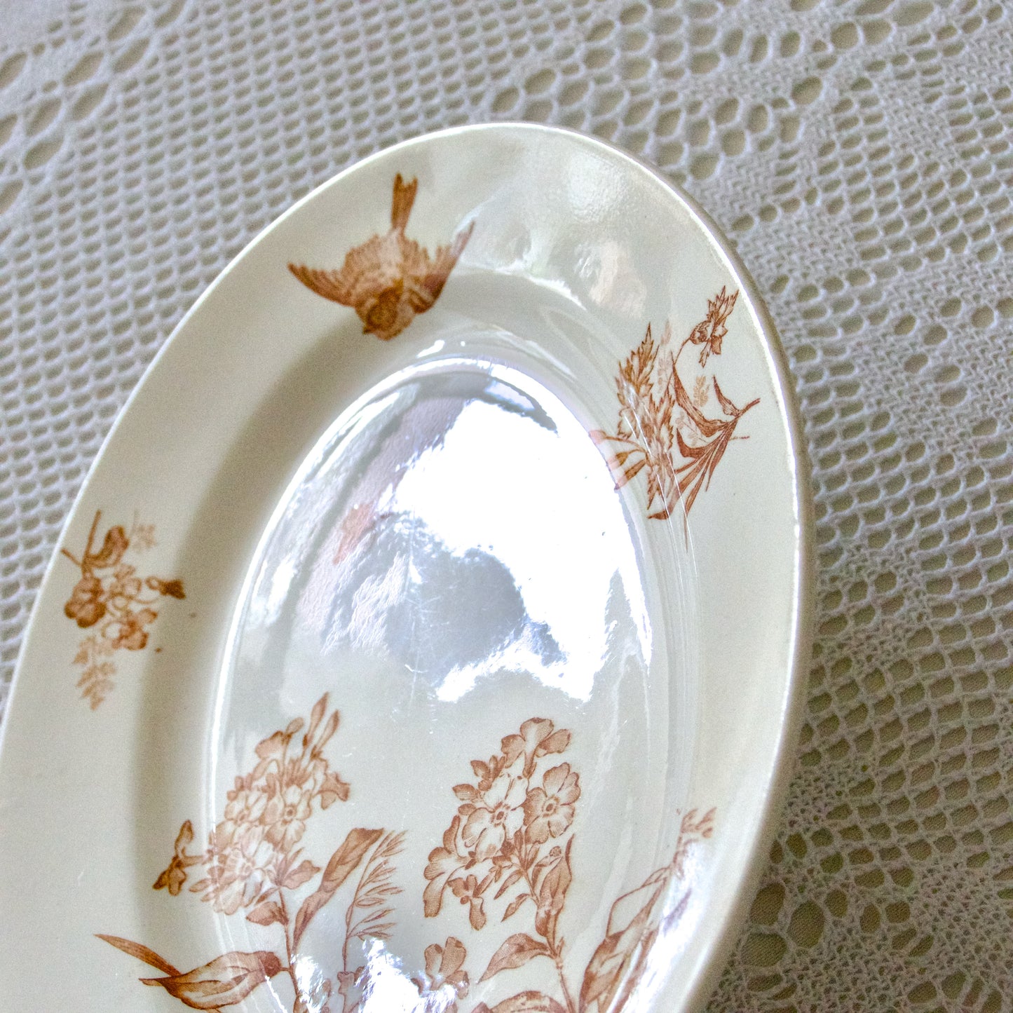 Plat ovale Longwy collection "Botanique" oiseau - terre de fer sepia