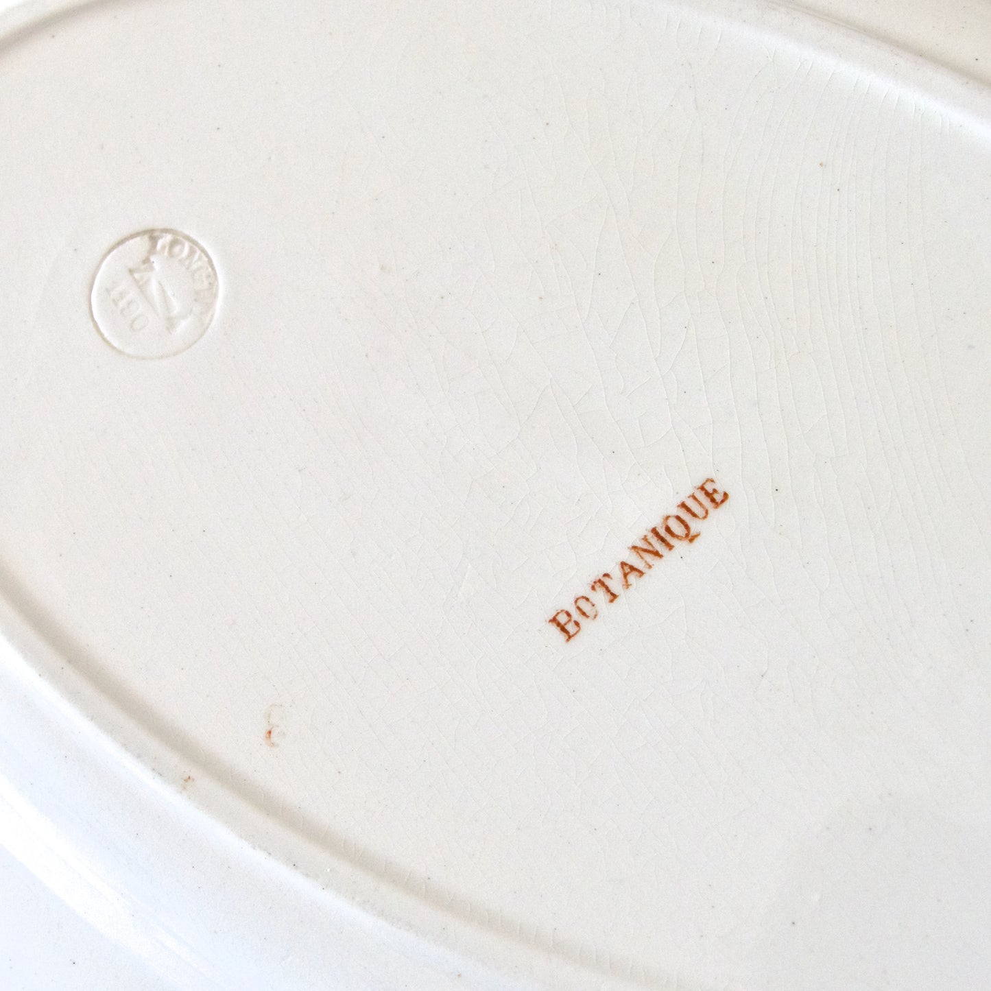 Plat ovale Longwy collection "Botanique" oiseau - terre de fer sepia