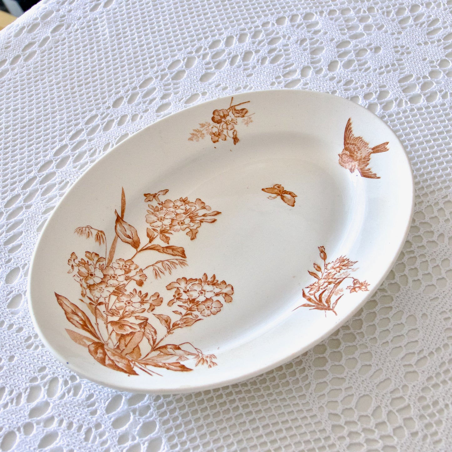 Plat ovale Longwy collection "Botanique" oiseau - terre de fer sepia