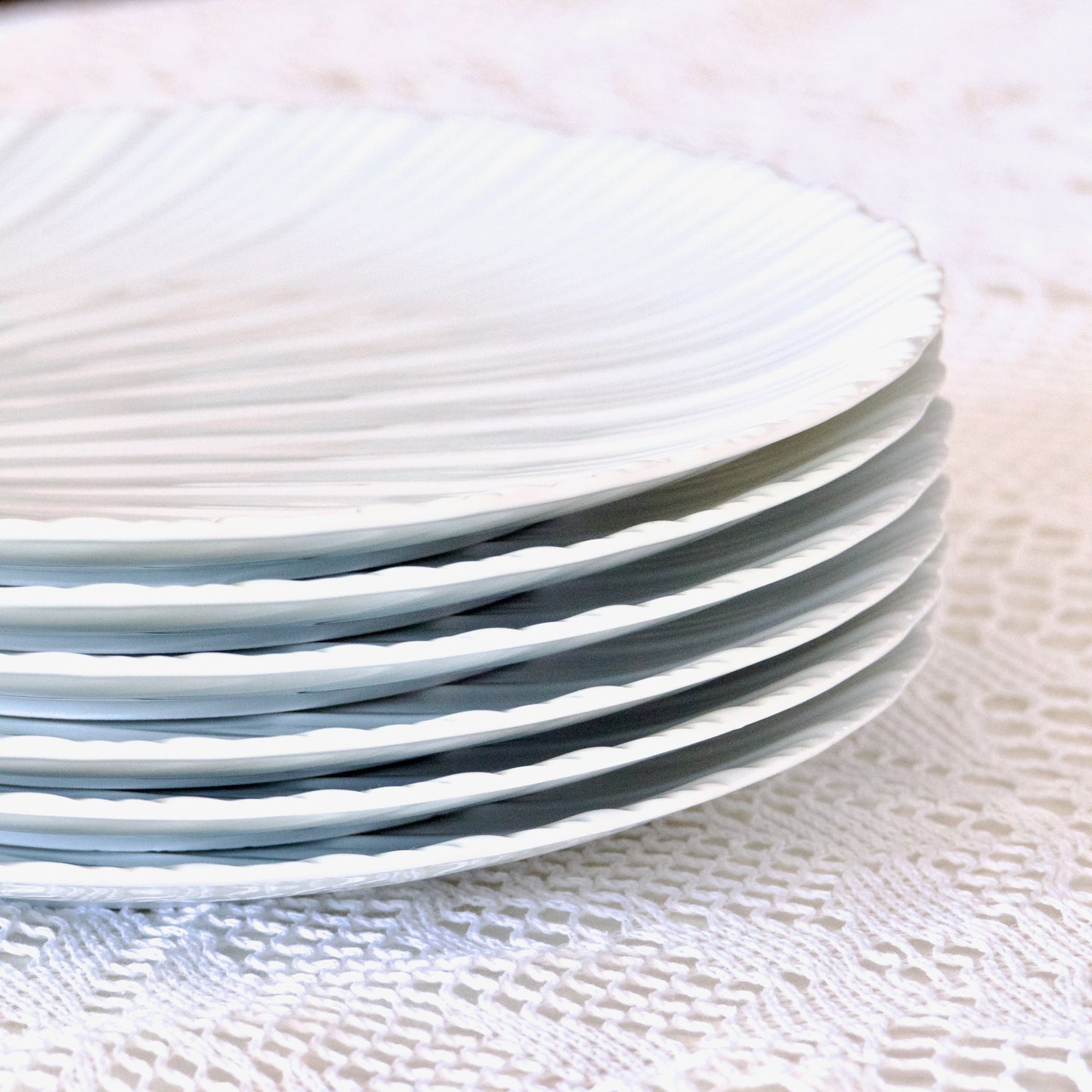 6 grandes assiettes en porcelaine coquillage
