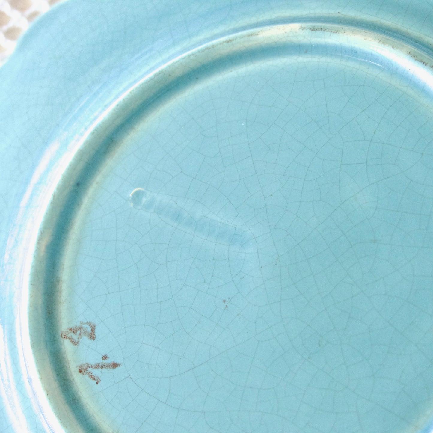 Assiette XIXe Sarreguemines en barbotine oiseaux