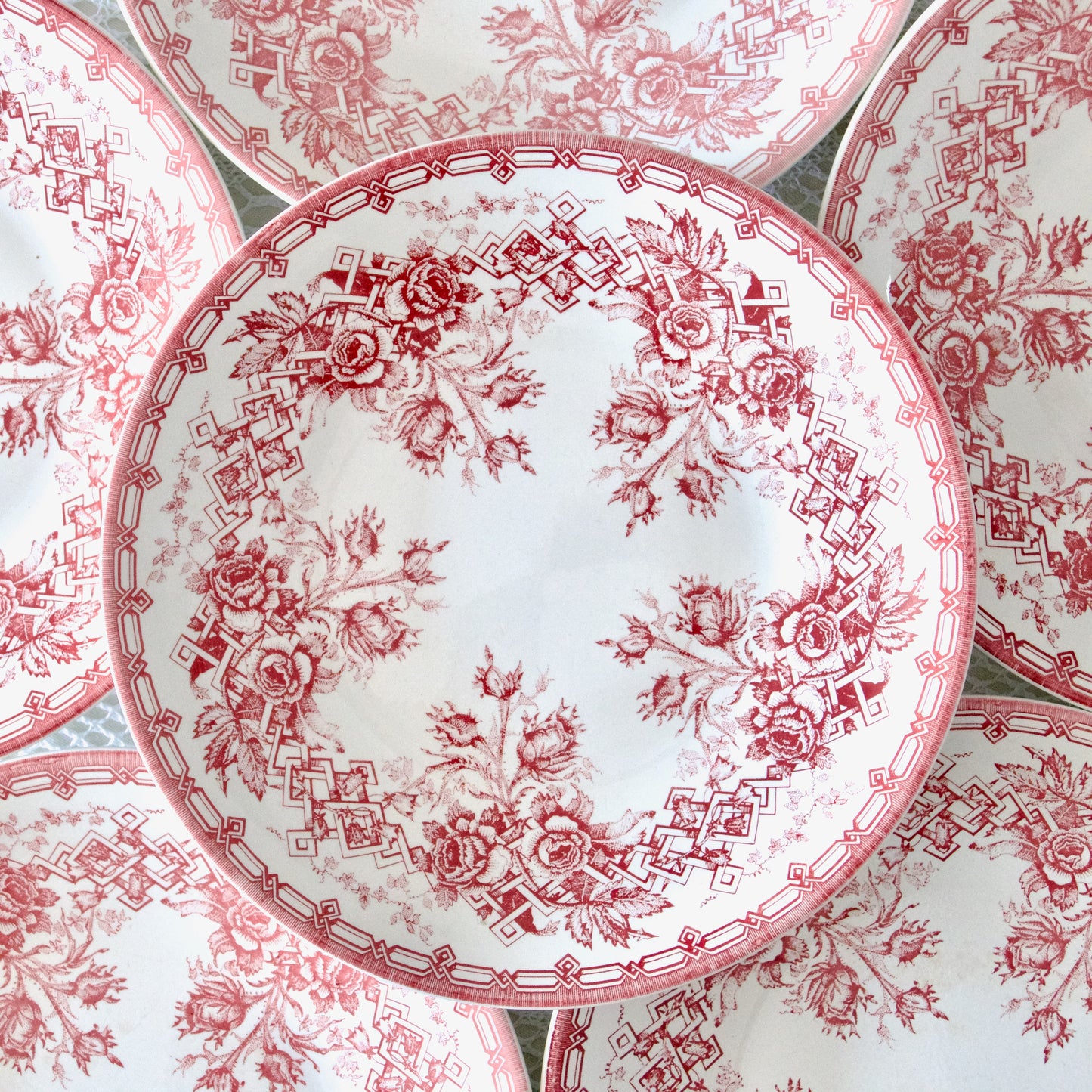 6 assiettes Sarreguemines roses grimpantes