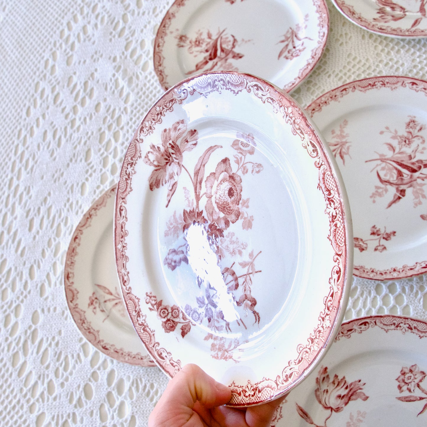 Assiettes à dessert Sarreguemines "Fontanges" - terre de fer rose