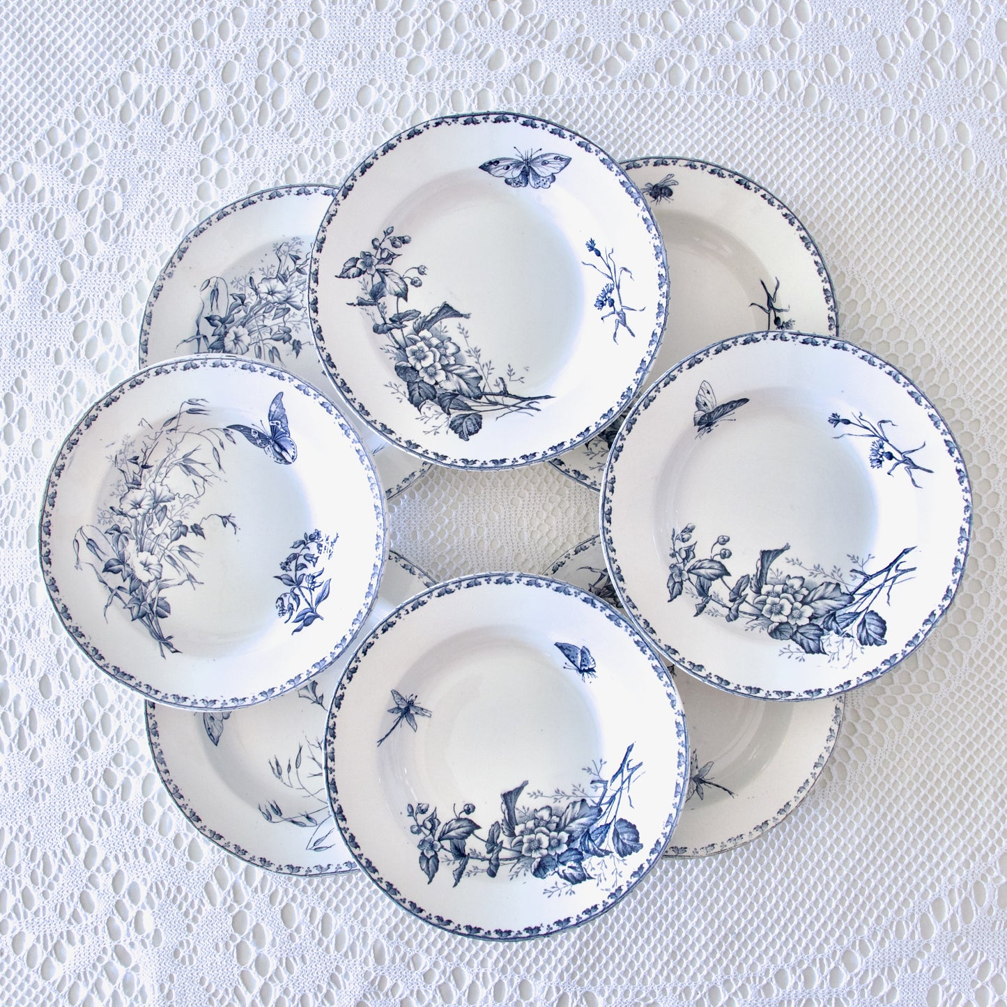 8 assiettes anciennes Sarreguemines "Carmen" - terre de fer