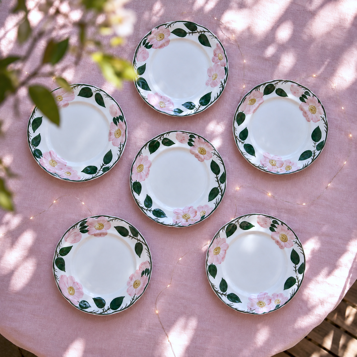 Assiettes à dessert Villeroy & Boch "Wildrose"