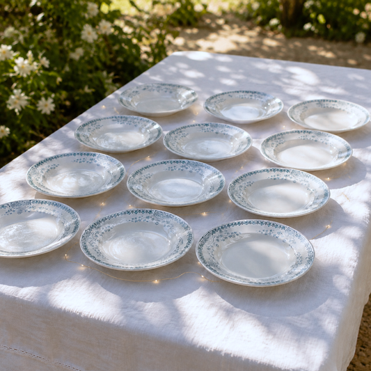 12 assiettes creuses KG Luneville "Caumartin" - terre de fer