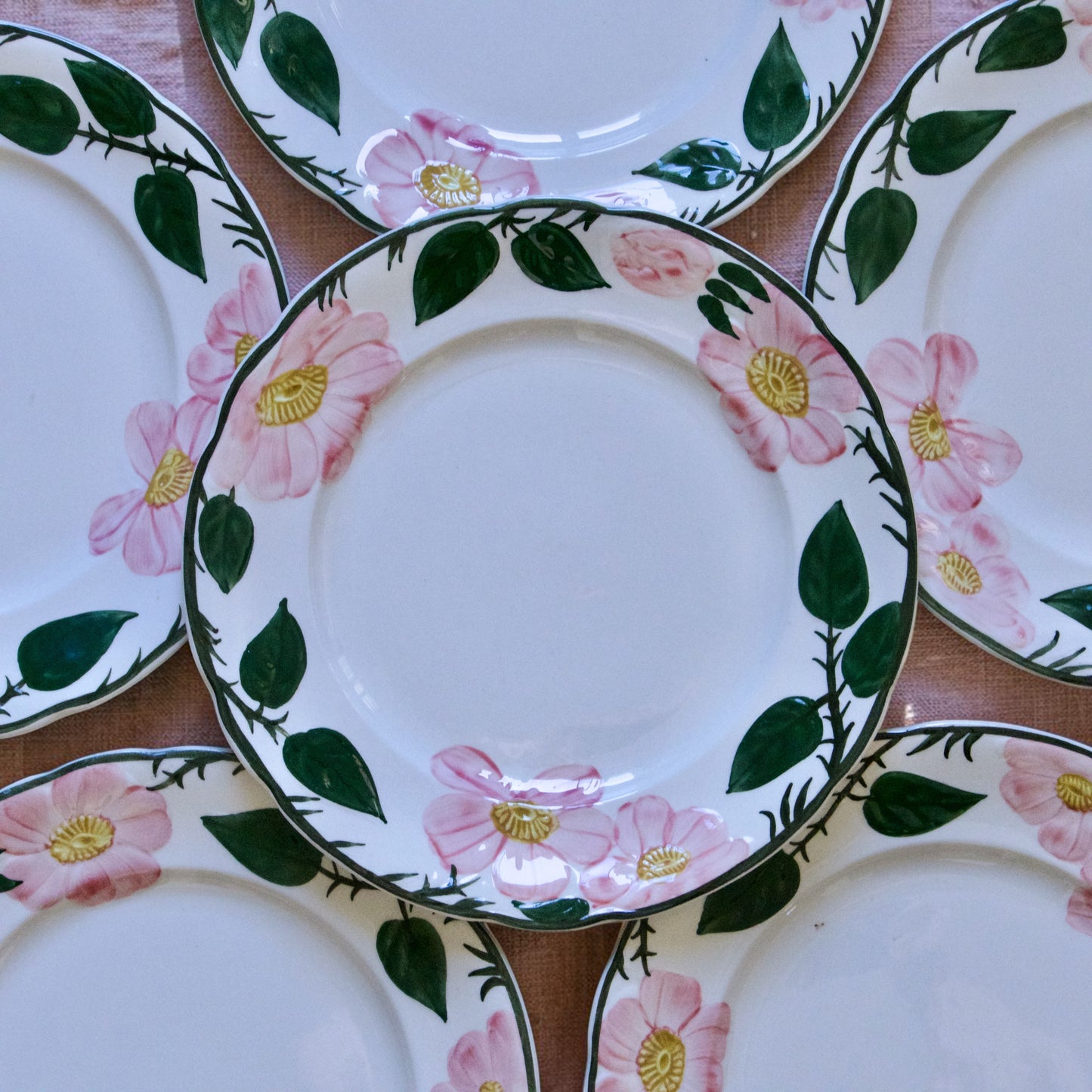 Assiettes à dessert Villeroy & Boch "Wildrose"