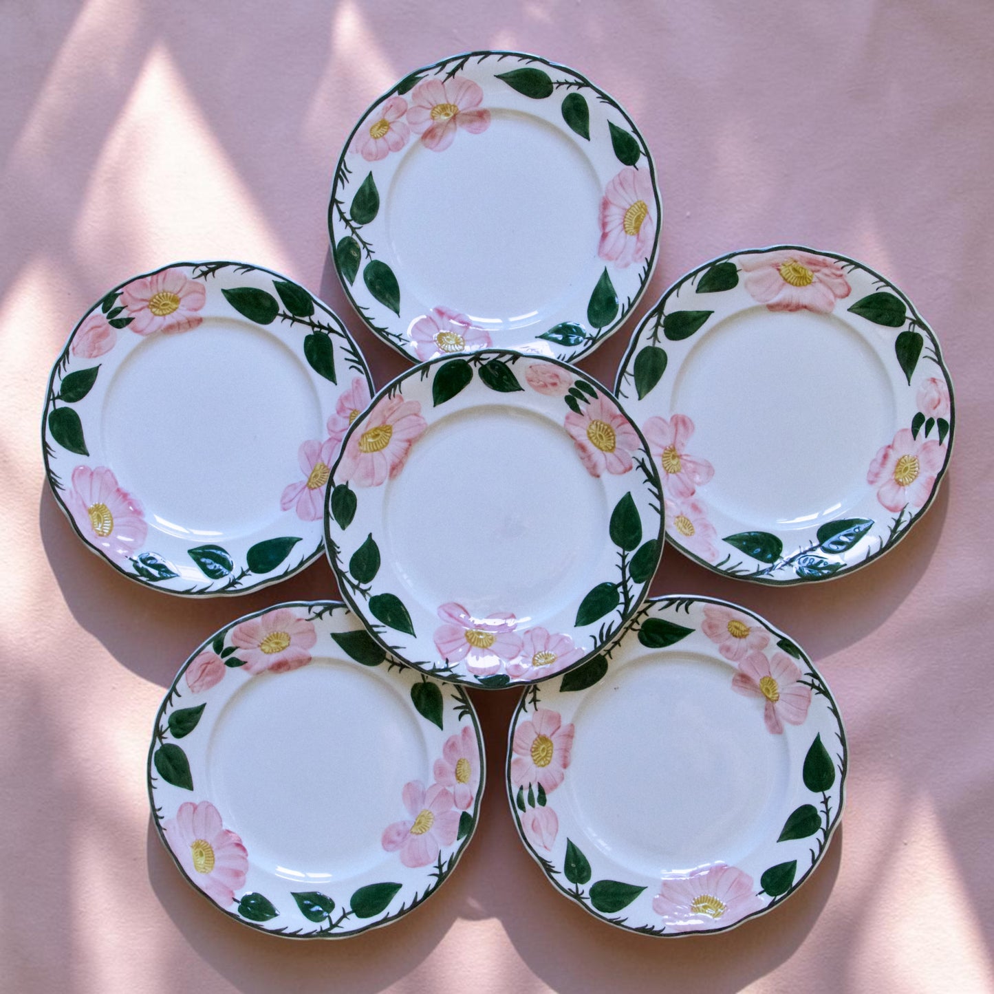 Assiettes à dessert Villeroy & Boch "Wildrose"