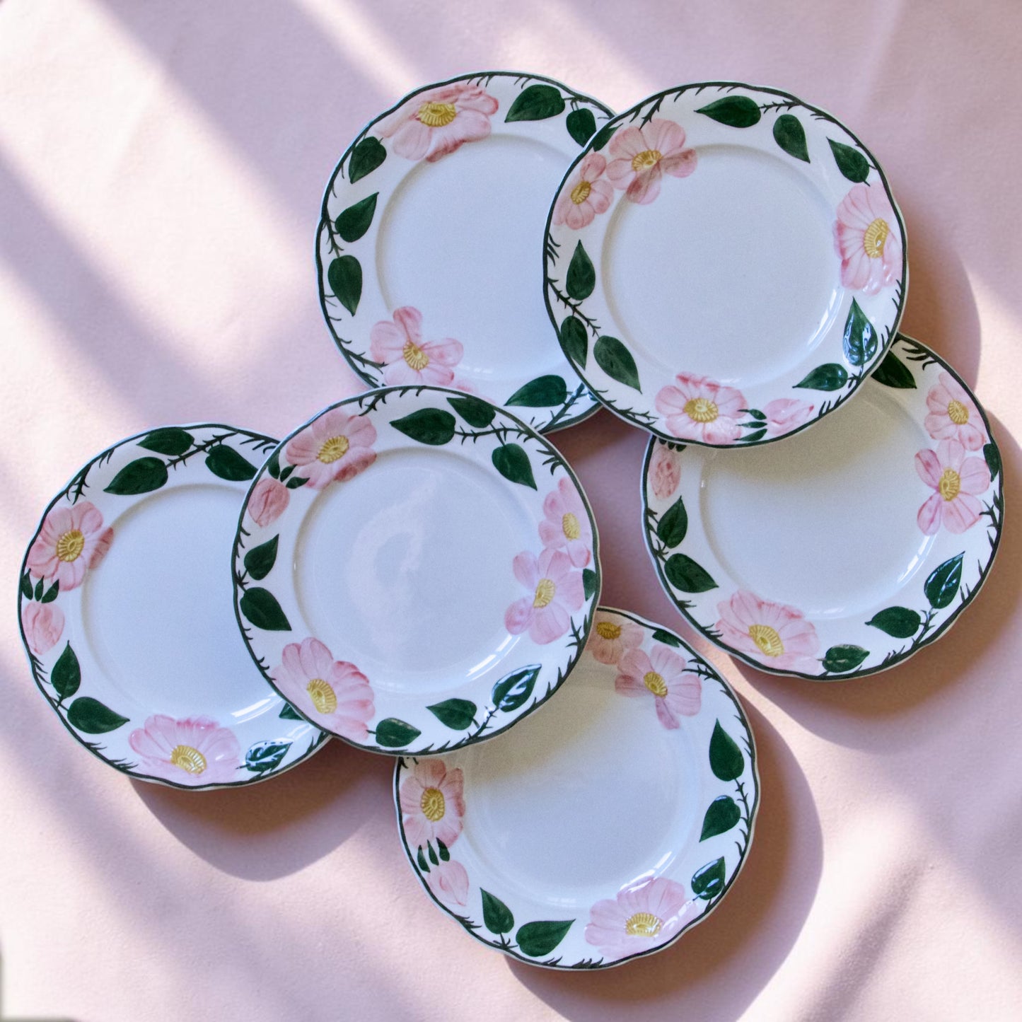 Assiettes à dessert Villeroy & Boch "Wildrose"