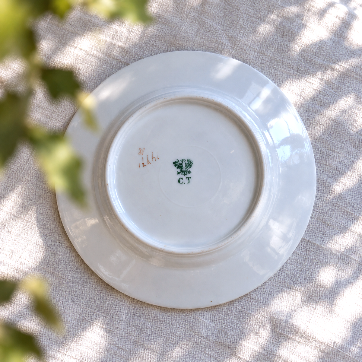 6 assiettes de 1890 en porcelaine Carl Tielsch