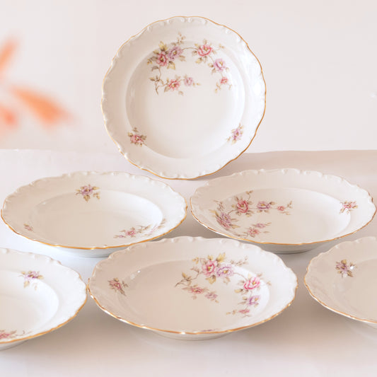 6 assiettes en porcelaine de Bavière fleuries - Schumann Arzberg