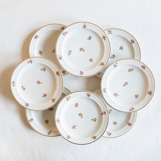 8 assiettes plates en porcelaine de Limoges