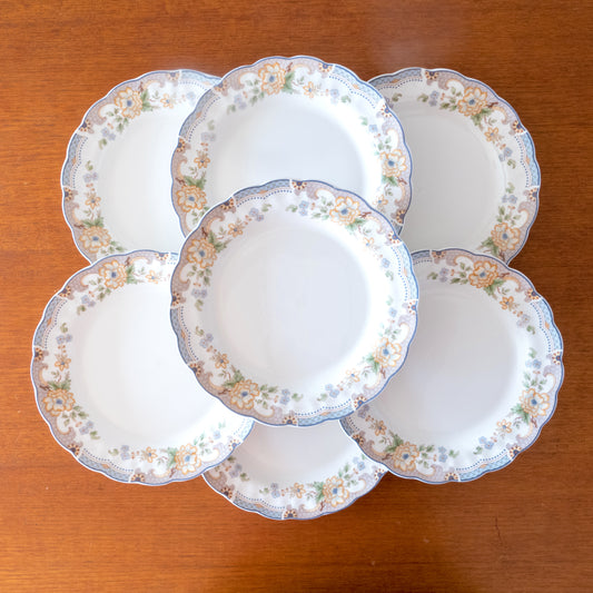 7 grandes assiettes en porcelaine Royal Doulton "The Majestic"