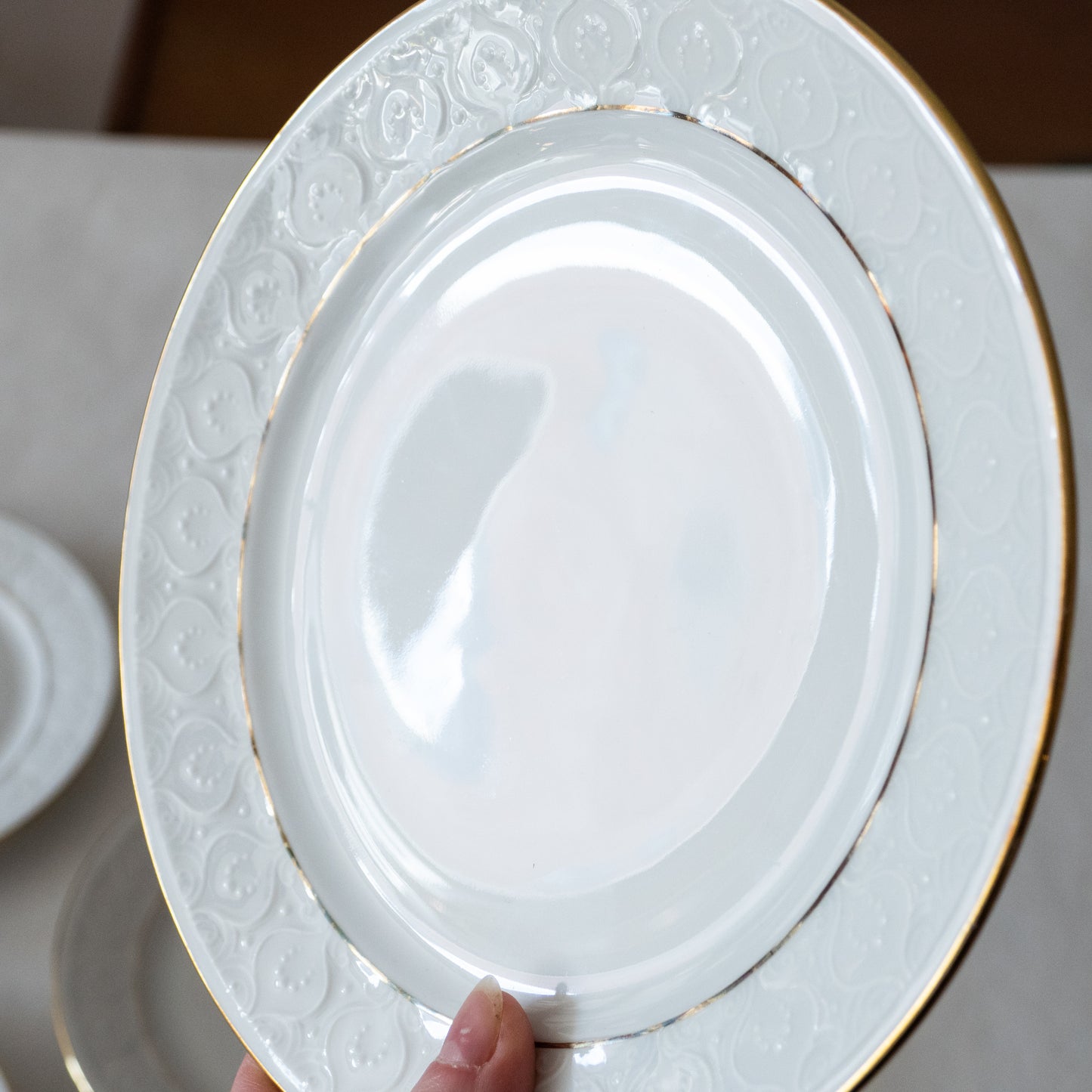 11 assiettes en porcelaine de Bavière Schirnding