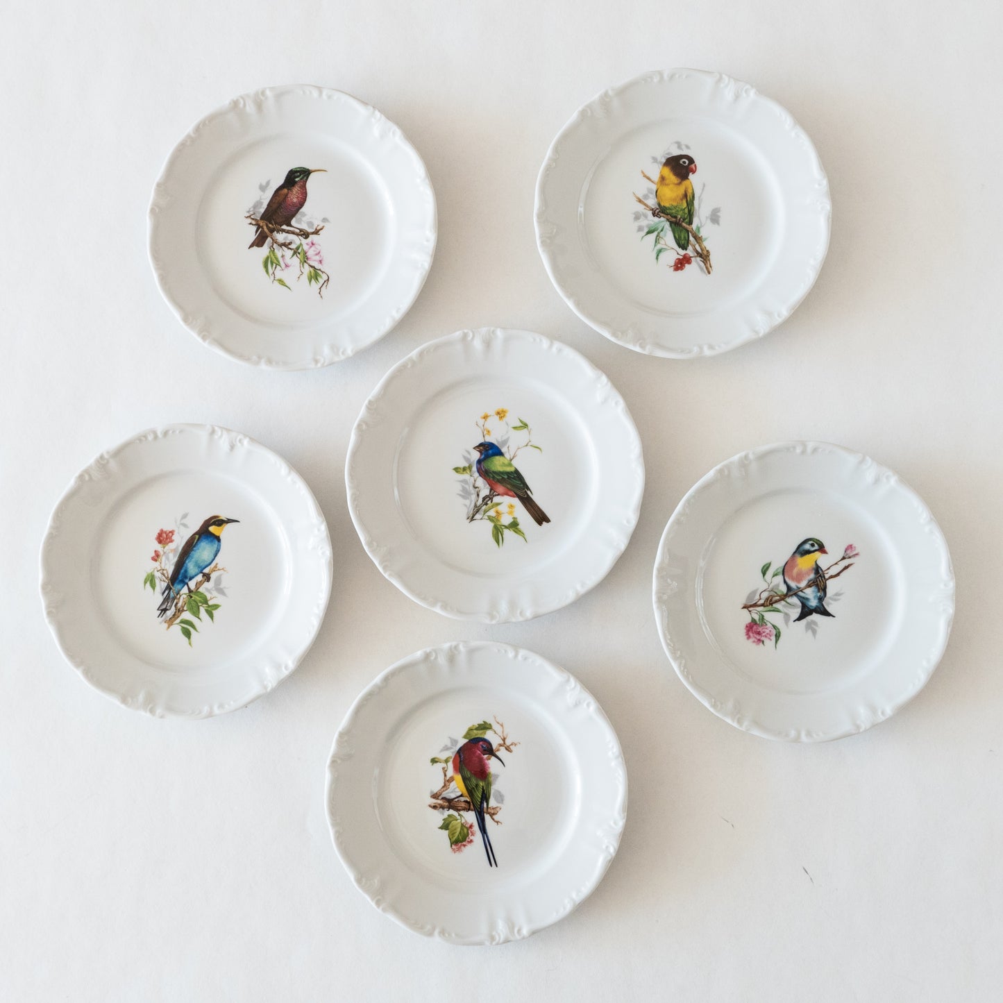 12 assiettes porcelaine Winterling Bavaria oiseaux