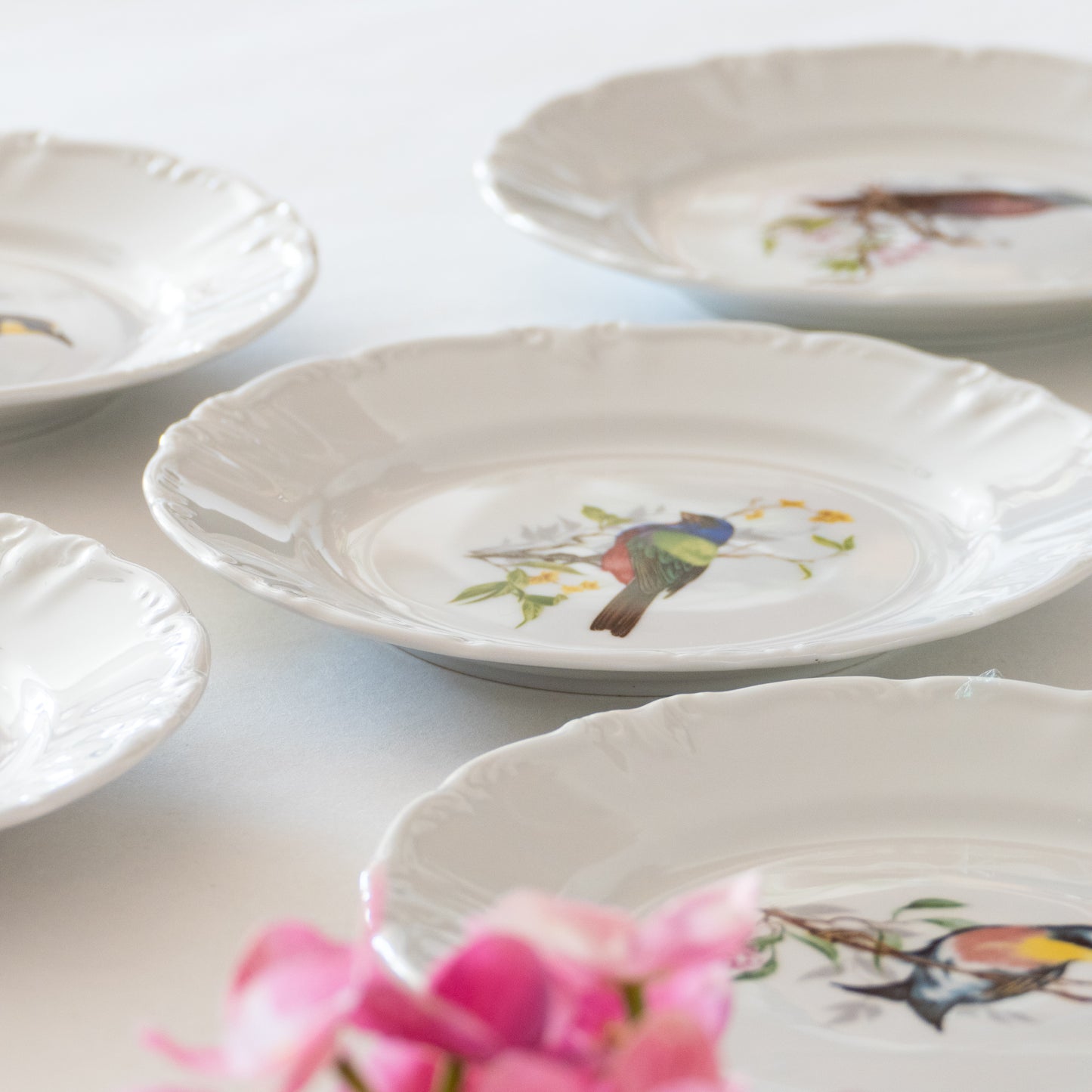 12 assiettes porcelaine Winterling Bavaria oiseaux