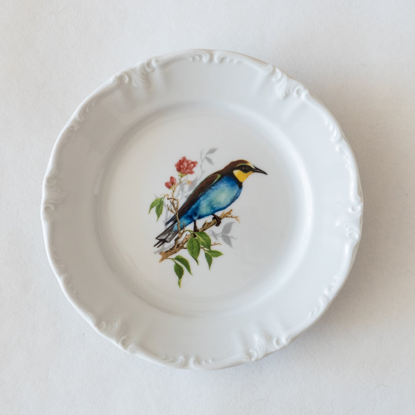 12 assiettes porcelaine Winterling Bavaria oiseaux