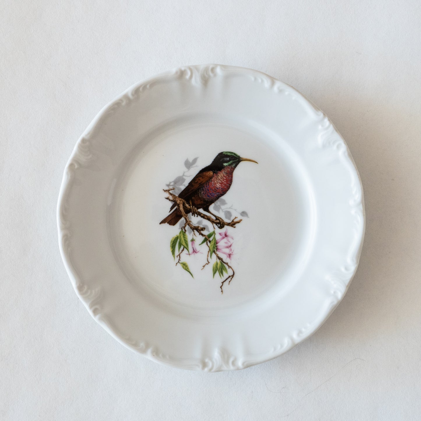 12 assiettes porcelaine Winterling Bavaria oiseaux