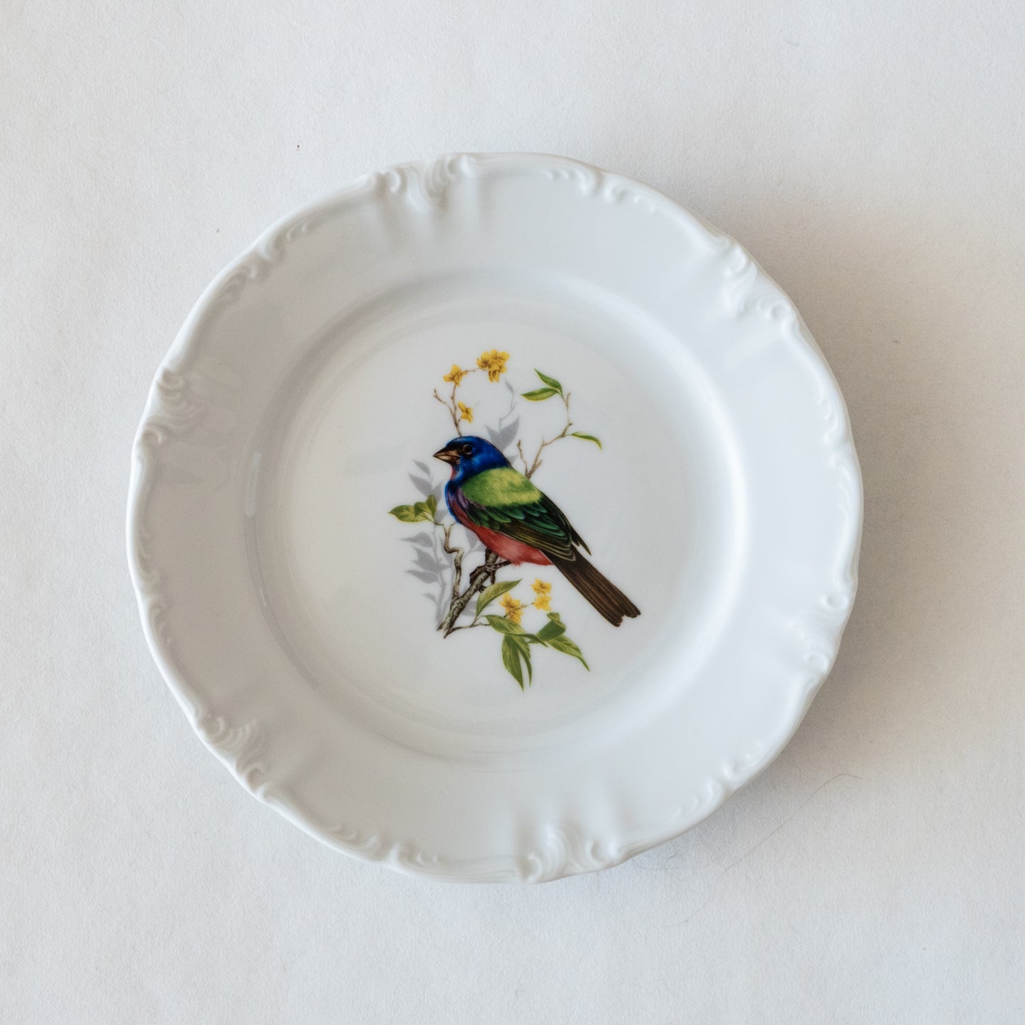 12 assiettes porcelaine Winterling Bavaria oiseaux