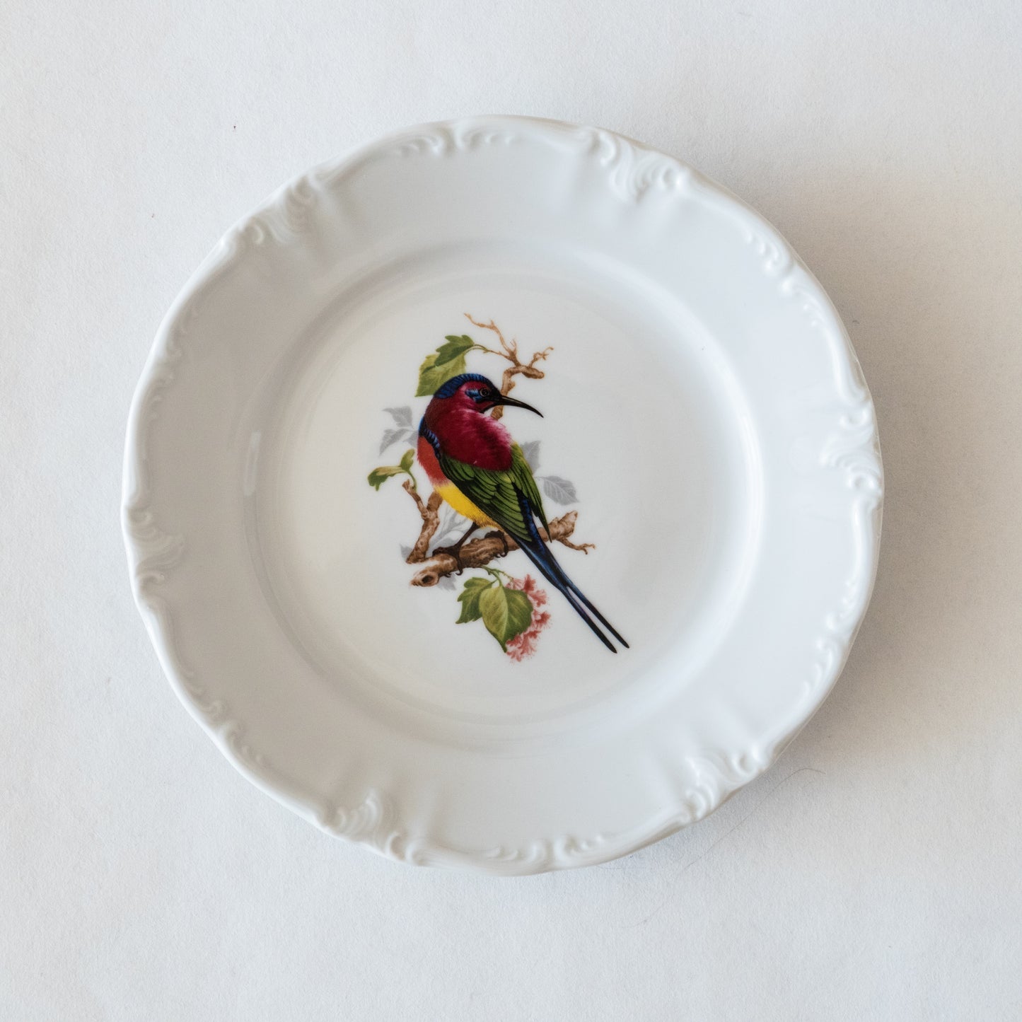 12 assiettes porcelaine Winterling Bavaria oiseaux