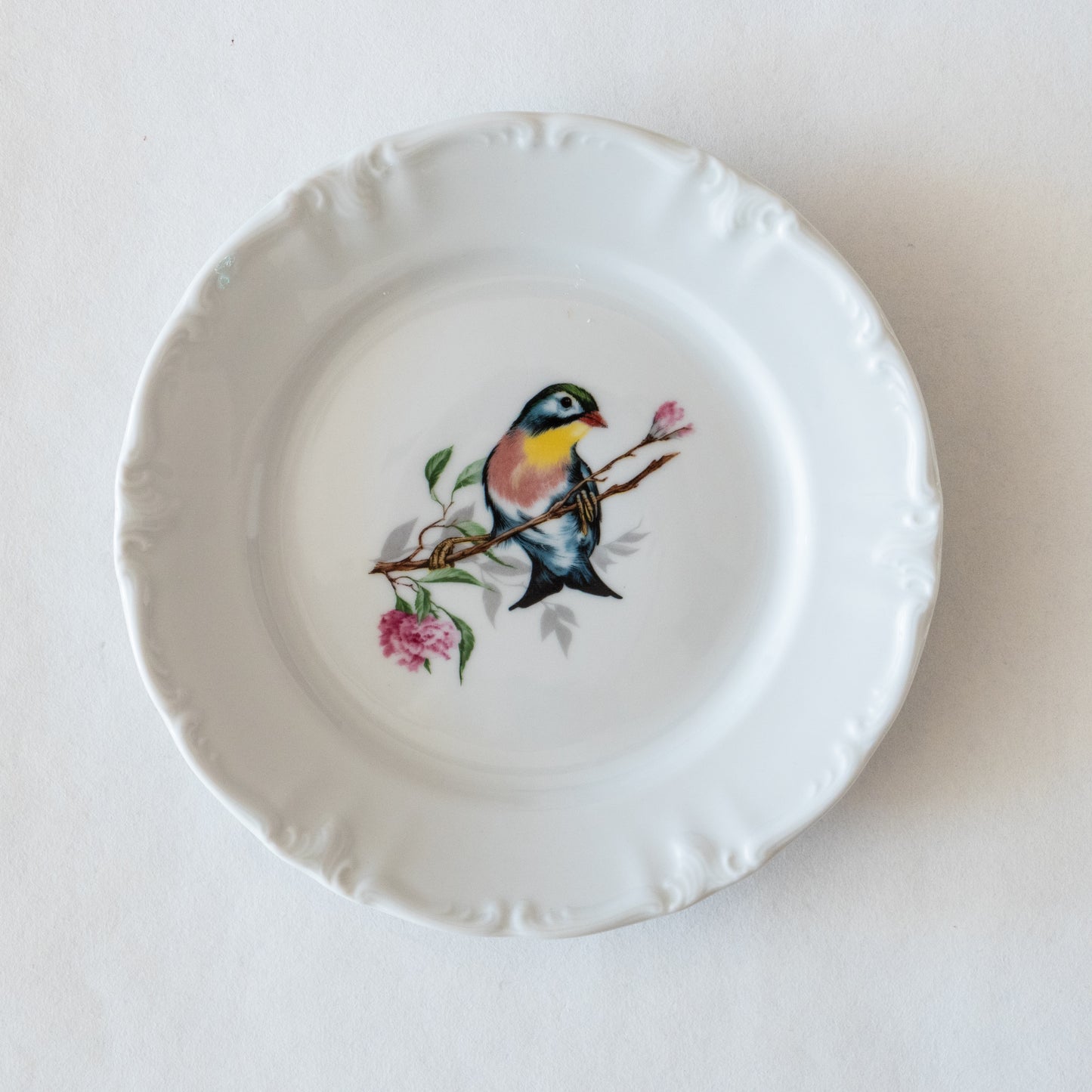 12 assiettes porcelaine Winterling Bavaria oiseaux