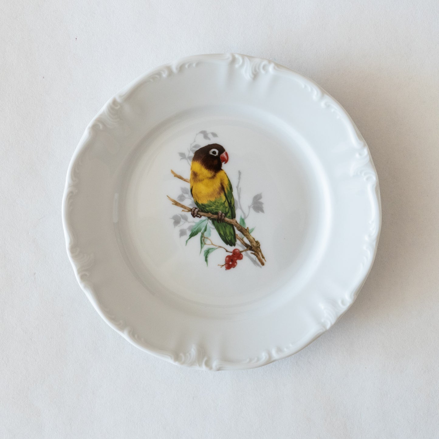 12 assiettes porcelaine Winterling Bavaria oiseaux