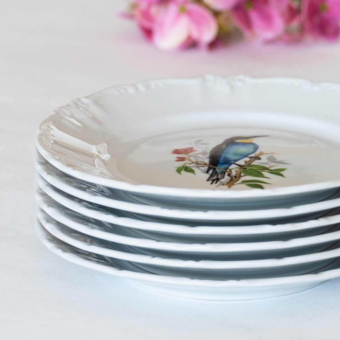 12 assiettes porcelaine Winterling Bavaria oiseaux